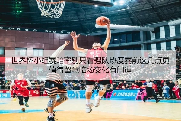 世界杯小组赛赔率别只看强队热度赛前这几点更值得留意临场变化有门道